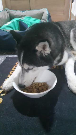 강산아엄마쭈님이 올린 리뷰 사진 2