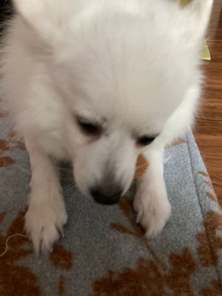 민트초코님이 올린 리뷰 사진 3