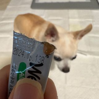 꽃사과님이 올린 리뷰 사진 2