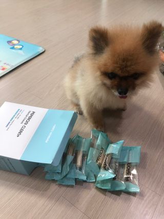 페페로니 클린플러스 덴탈치킨껌 10g x 14p — 4점을 준 리뷰어가 2021년 7월 올린 사용 사진
