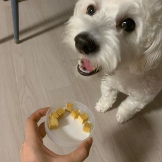 응네님이 올린 리뷰 사진 4