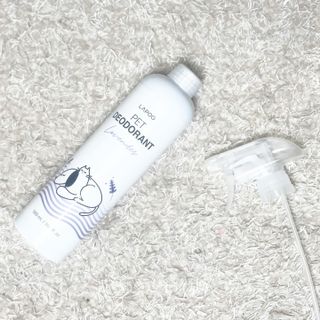꿀냥이님이 올린 리뷰 사진 2
