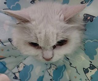 케이이이님이 올린 리뷰 사진 2