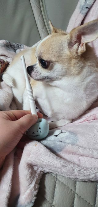 동딩이님이 올린 리뷰 사진 3