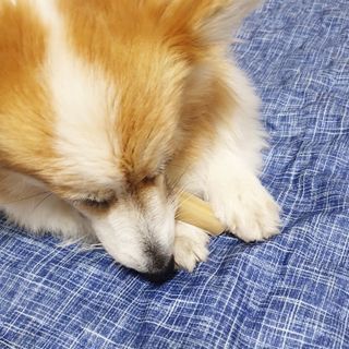 환희님이 올린 리뷰 사진 4