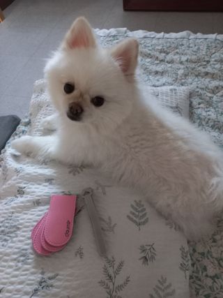 두부맘님이 올린 리뷰 사진 3
