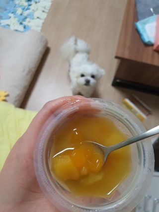 뽀오오옹님이 올린 리뷰 사진 3