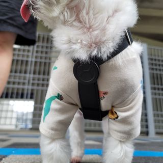 꿍언니님이 올린 리뷰 사진 3