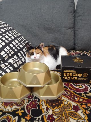 홍제이님이 올린 리뷰 사진 1