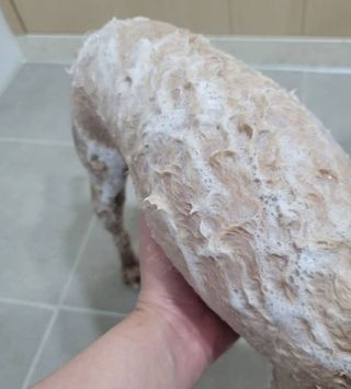 직장인님이 올린 리뷰 사진 1
