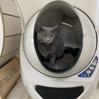 지름신님이 올린 리뷰 사진 3