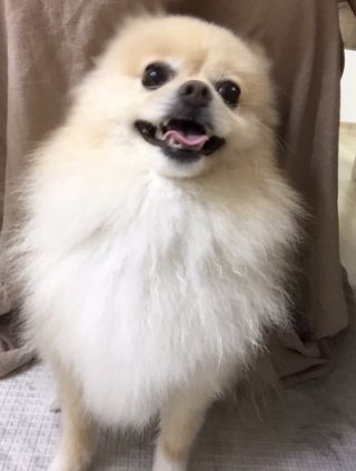 yoniyoni님이 올린 리뷰 사진 3