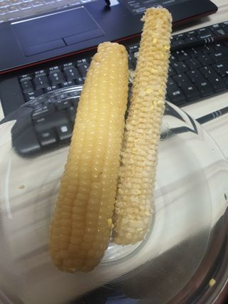씬데렐라님이 올린 리뷰 사진 2