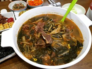 요리반상회 용문해장국 2팩 + 뚝배기 1개 — 5점을 준 리뷰어가 2021년 3월 올린 사용 사진