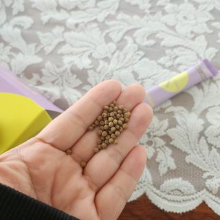 LOVE님이 올린 리뷰 사진 3