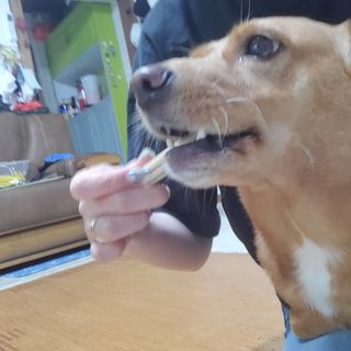 망구님이 올린 리뷰 사진 3