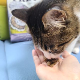 글라라5205님이 올린 리뷰 사진 4