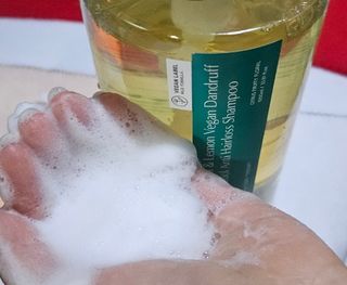 닥터시드 페퍼민트 앤 레몬 비건 비듬케어 쿨 탈모 샴푸 (1000ml) — 5점을 준 리뷰어가 2024년 2월 올린 사용 사진