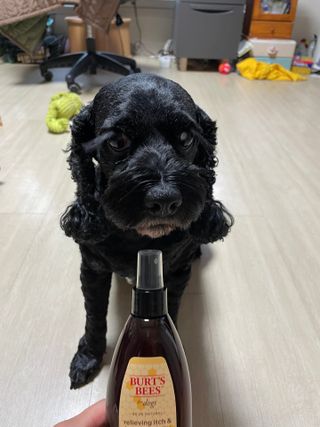 미니님이 올린 리뷰 사진 2