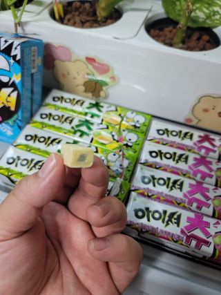 바나나차차님이 올린 리뷰 사진 3