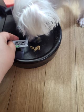 마이쭈님이 올린 리뷰 사진 3