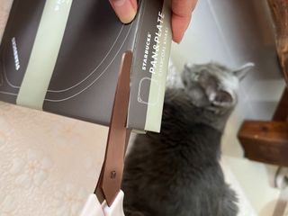 효성님이 올린 리뷰 사진 2