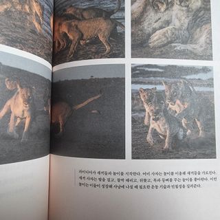 파비올라님이 올린 리뷰 사진 4