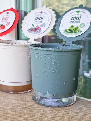 동그리동동님이 올린 리뷰 사진 4