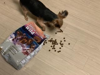 kkyubebe님이 올린 리뷰 사진 3