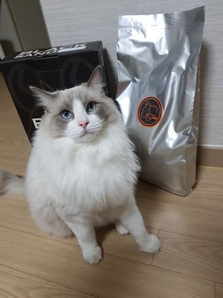로크찡님이 올린 리뷰 사진 1