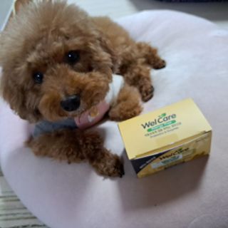 민쓰님이 올린 리뷰 사진 3