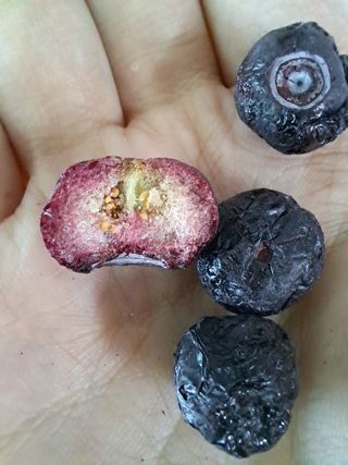 망고나은님이 올린 리뷰 사진 1