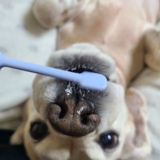 제니맘님이 올린 리뷰 사진 3