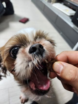 햄쓰님이 올린 리뷰 사진 3