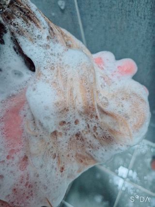꼬꼬마님이 올린 리뷰 사진 4