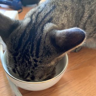 리나님이 올린 리뷰 사진 1