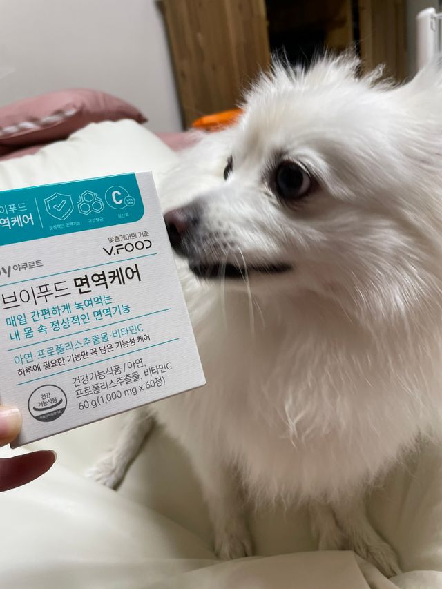 한국야쿠르트 브이푸드 면역케어 리뷰 사진
