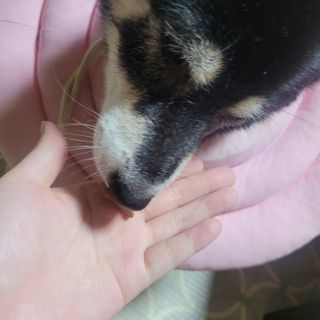 EunsunKim님이 올린 리뷰 사진 2