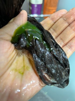 바노피파이님이 올린 리뷰 사진 2