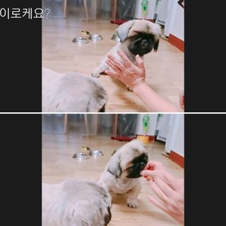 러블리혜교님이 올린 리뷰 사진 3