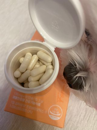 황방울이님이 올린 리뷰 사진 3