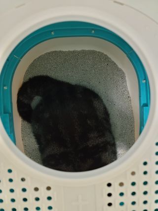 나초단맘님이 올린 리뷰 사진 2
