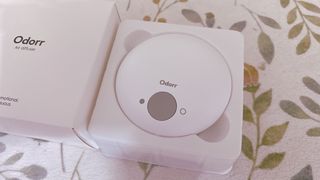김효영님이 올린 리뷰 사진 2