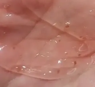 딸랑구둘🥰님이 올린 리뷰 사진 3