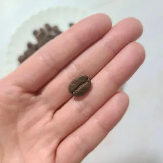 딱걸렸어엄마님이 올린 리뷰 사진 3
