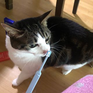 c1bzzvd5mkg님이 올린 리뷰 사진 1