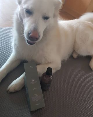 마리앤루이펫샴푸 [mari and louie pet shampoo] — 5점을 준 리뷰어가 2021년 5월 올린 사용 사진