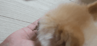 보미누나님이 올린 리뷰 사진 1