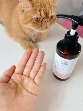 라라로즈데이 시즌2 여성청결제 200ml 아로마 페미민 클렌저, 독일더마인증 — 5점을 준 리뷰어가 2021년 9월 올린 사용 사진