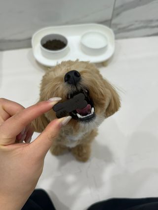 마루네님이 올린 리뷰 사진 3